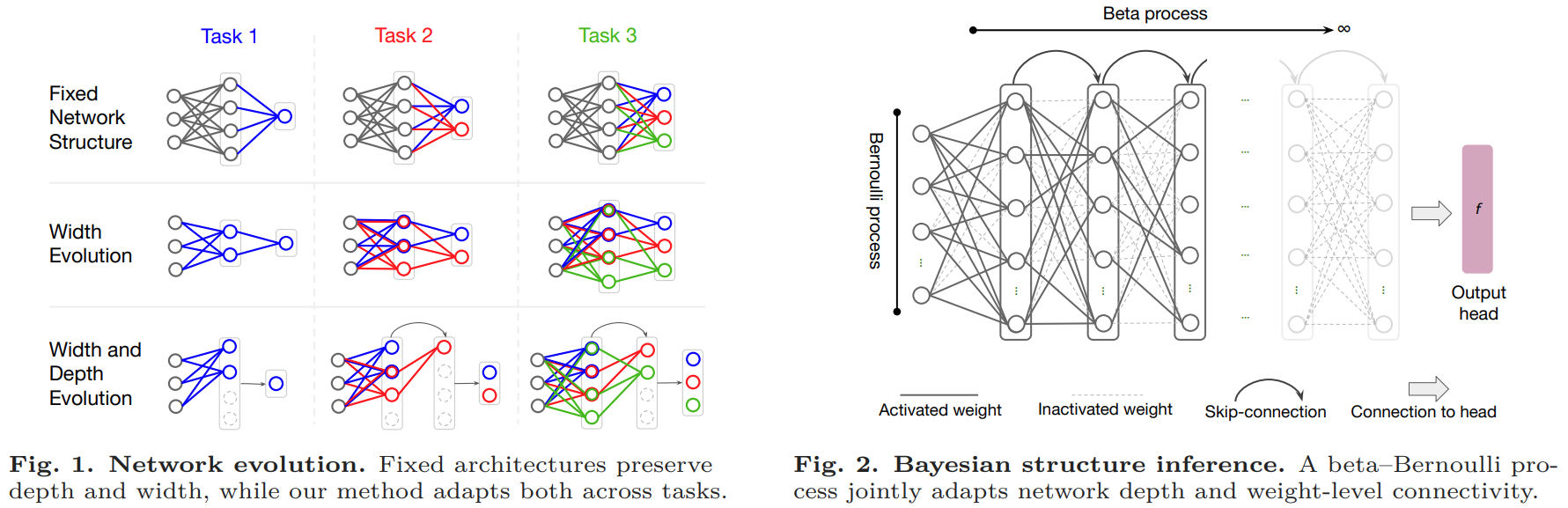 Bayesian structure inference framework using beta process and conjugate Bernoulli process for continual network depth and width adaptation